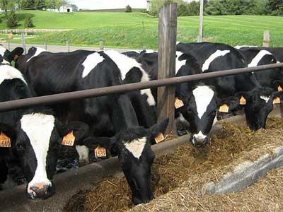 Agricultural Development